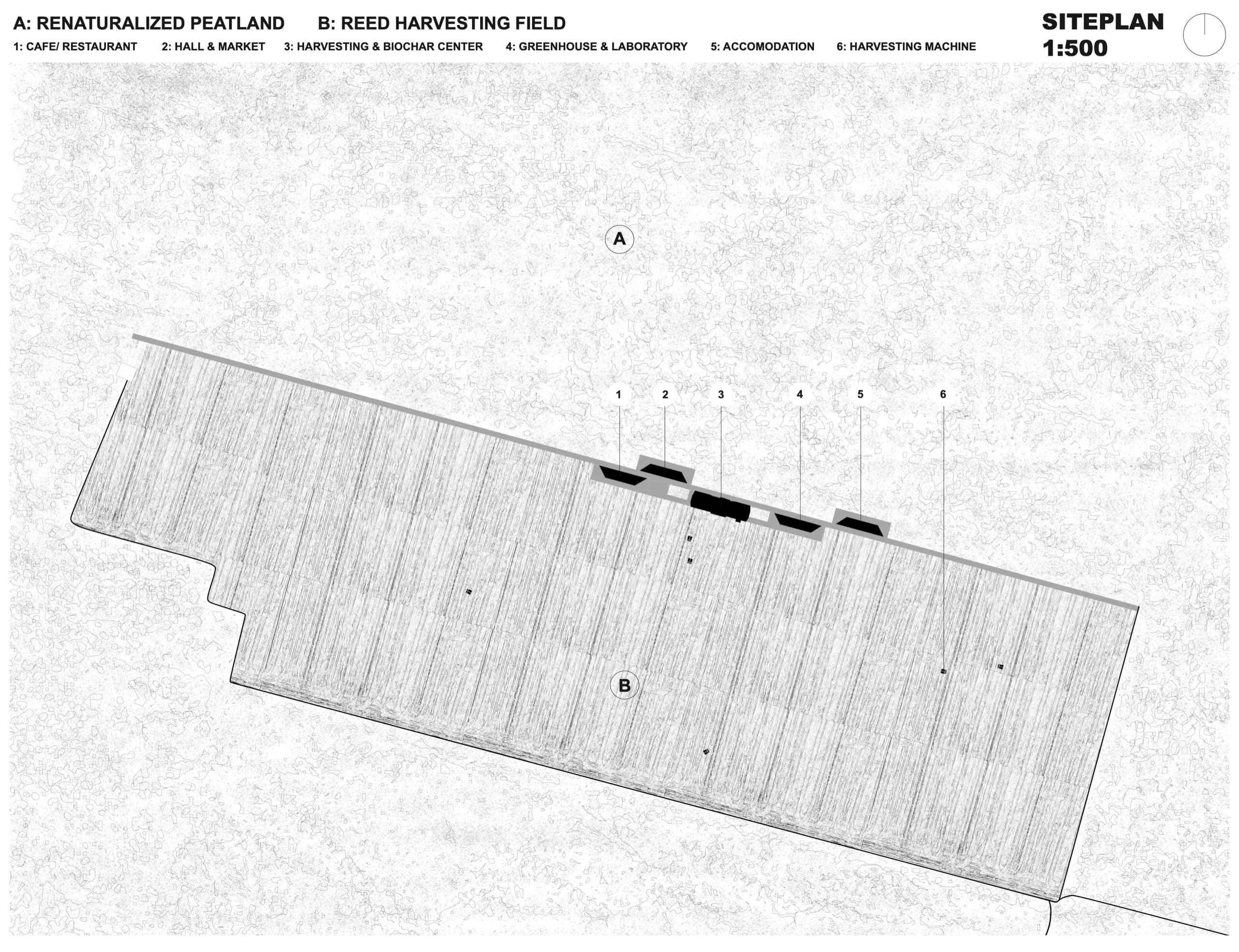 circular line, siteplan