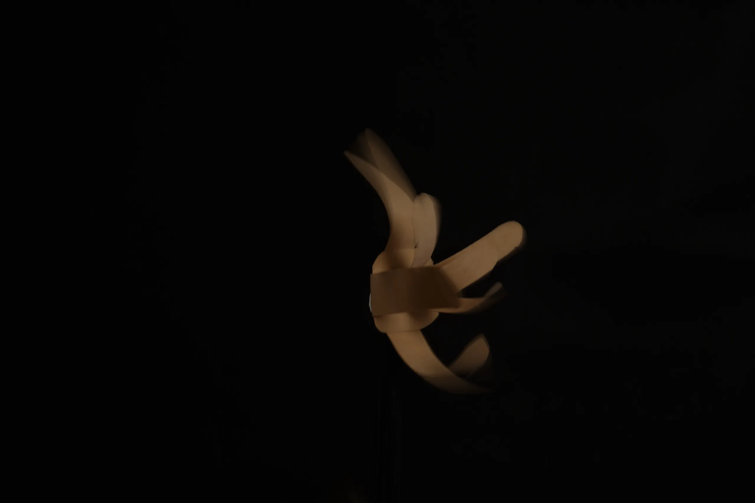 komorebi 木漏れ日, hygroscopicity of wood