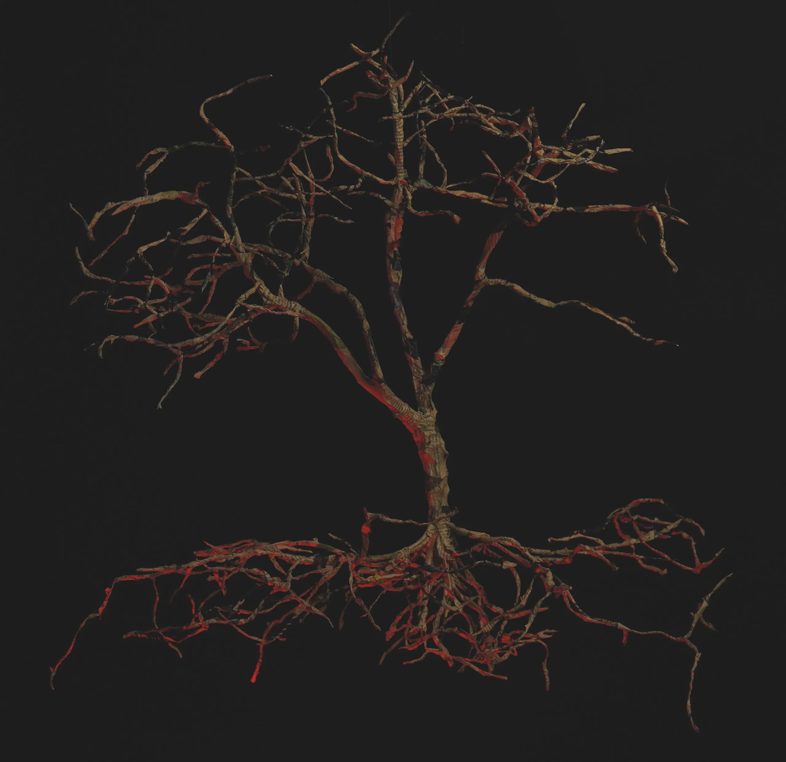 Tree sculpture of Pinus sylvestris with red roots on black background